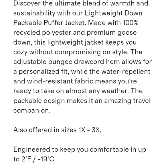 Quince Lightweight Down Packable Puffer Jacket - Picture 12 of 16